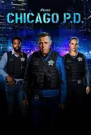 芝加哥警署 第十一季8